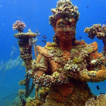 Biorock Homestay & Dive Center Pemuteran Zewnętrze zdjęcie