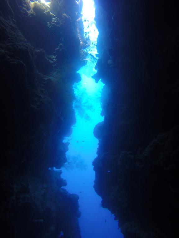 Biorock Homestay & Dive Center Pemuteran Zewnętrze zdjęcie