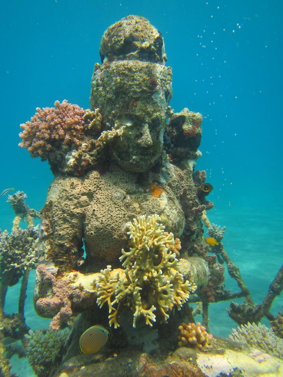 Biorock Homestay & Dive Center Pemuteran Zewnętrze zdjęcie
