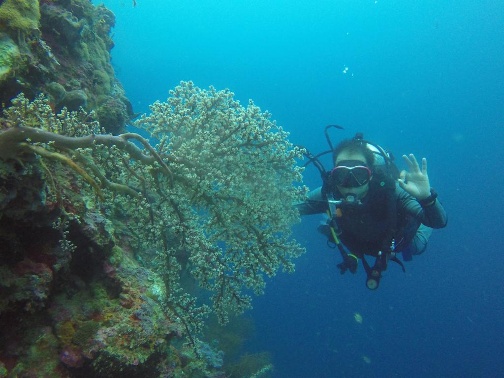 Biorock Homestay & Dive Center Pemuteran Zewnętrze zdjęcie