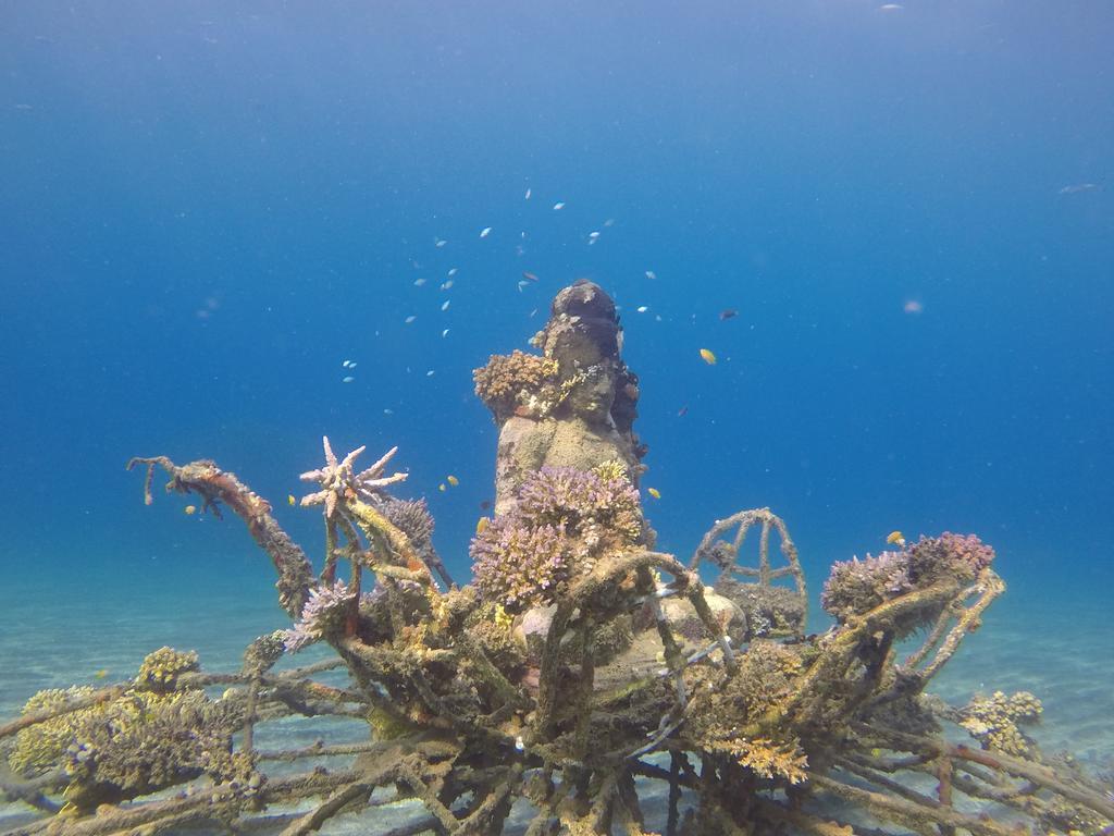 Biorock Homestay & Dive Center Pemuteran Zewnętrze zdjęcie