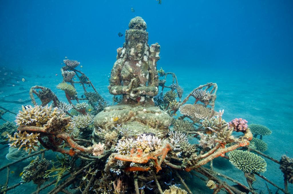 Biorock Homestay & Dive Center Pemuteran Zewnętrze zdjęcie