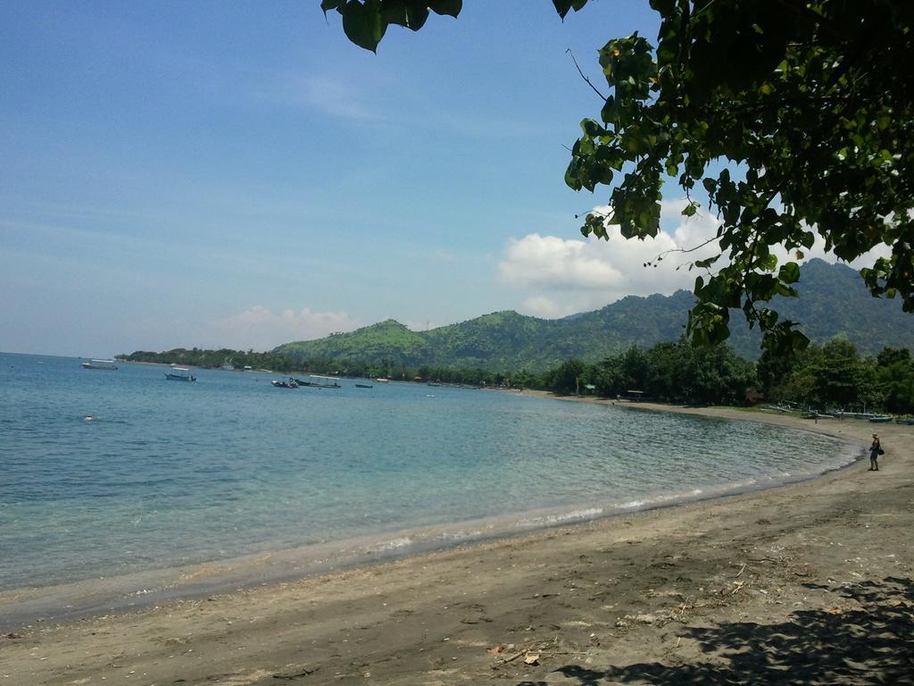 Biorock Homestay & Dive Center Pemuteran Zewnętrze zdjęcie
