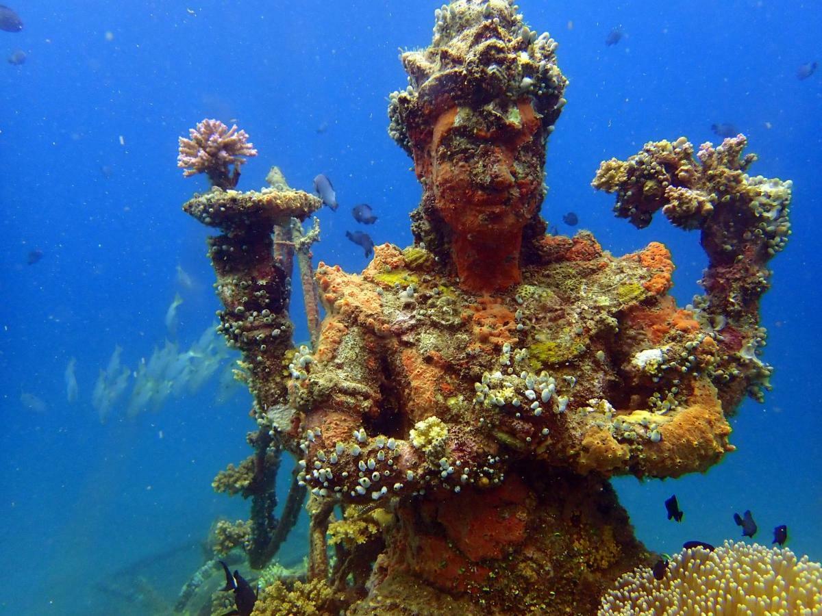 Biorock Homestay & Dive Center Pemuteran Zewnętrze zdjęcie